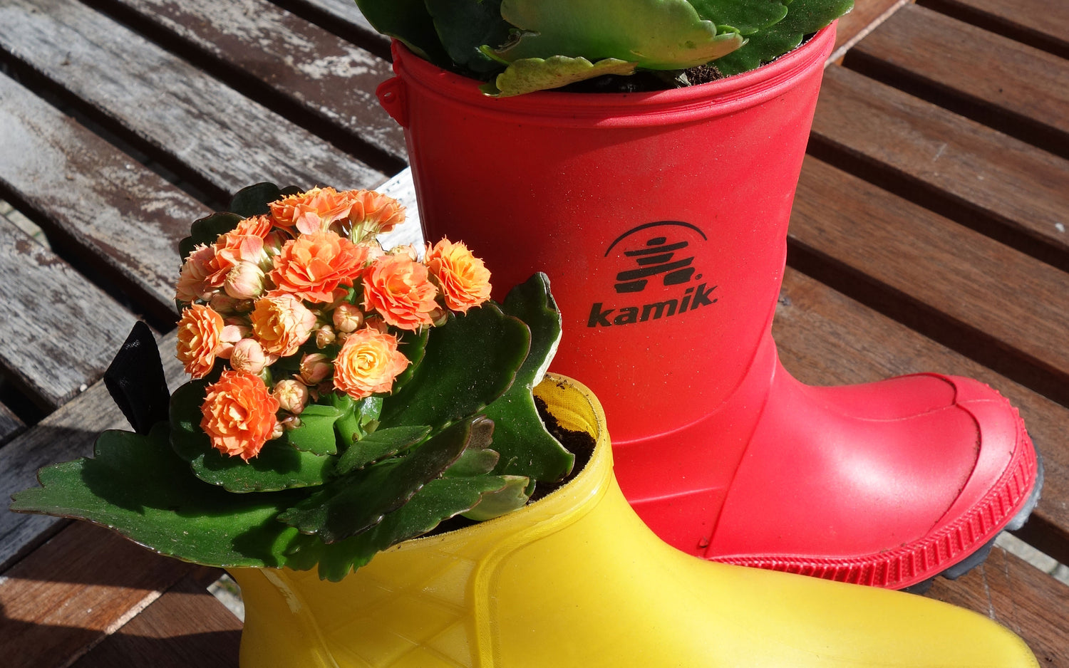HOW TO: PLANT FLOWERS IN A BOOT